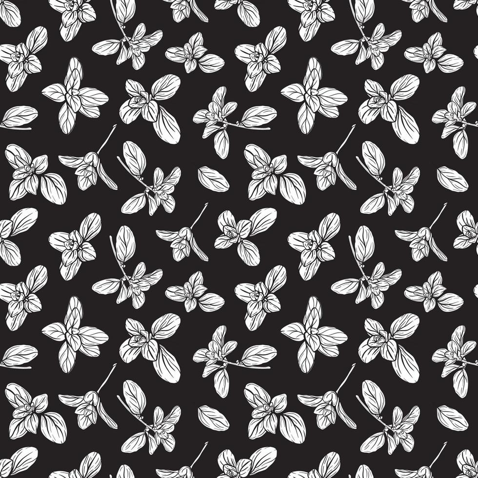 Basil Pattern. Italian herbs.A sprig of marjoram vector