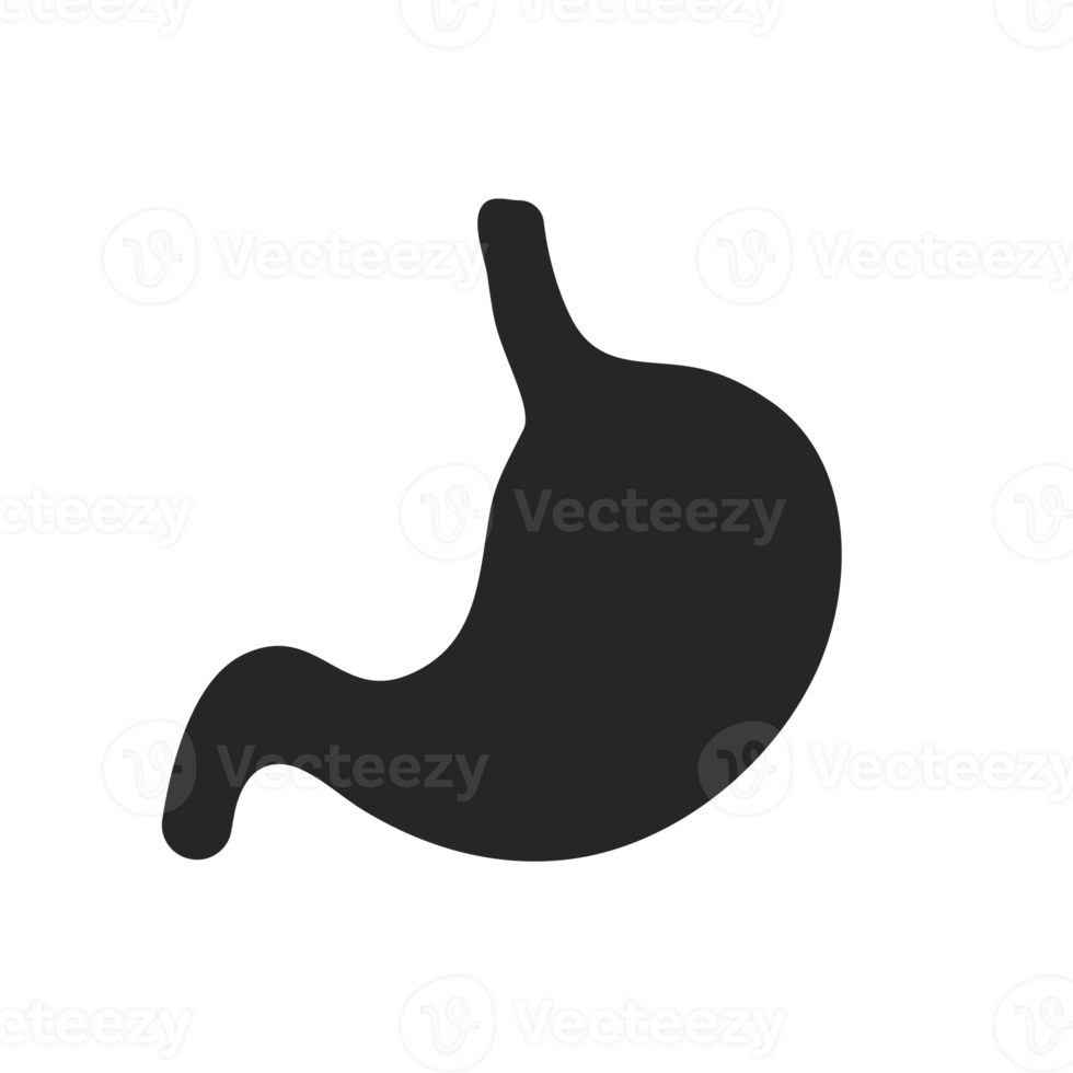 maag icoon. de maag bevat maag- sap naar steun spijsvertering en opstijgen naar de darm. png