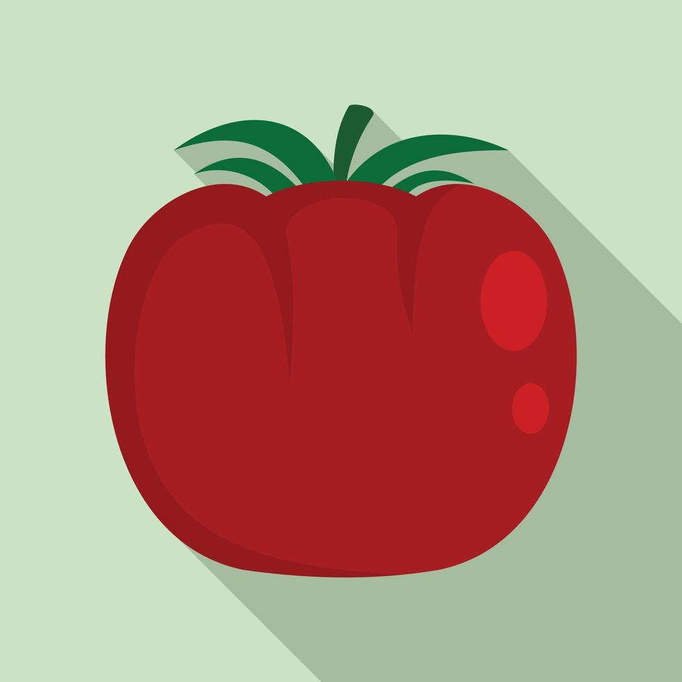 Tomato icon, flat style vector