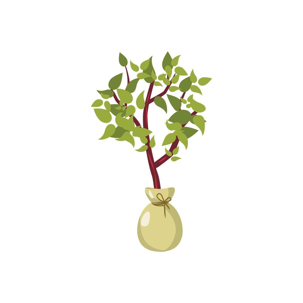 Seedling icon, cartoon style vector