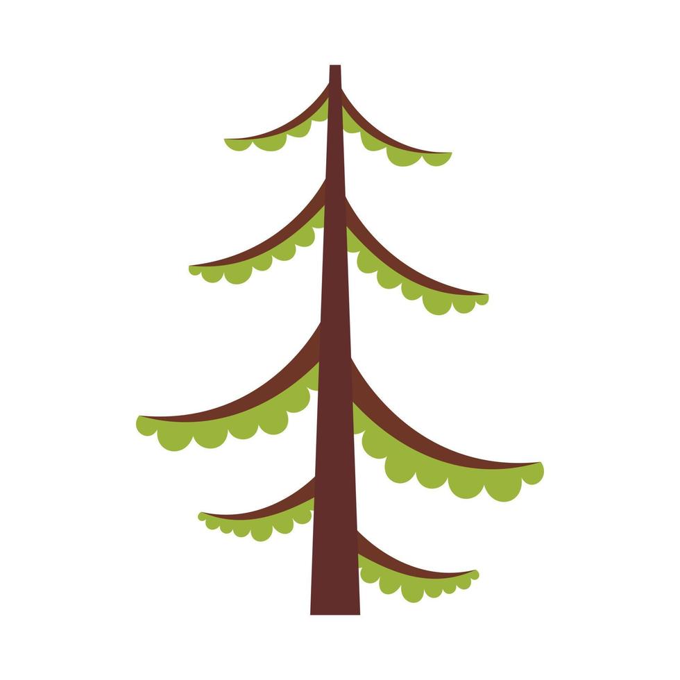 Spruce icon, flat style vector