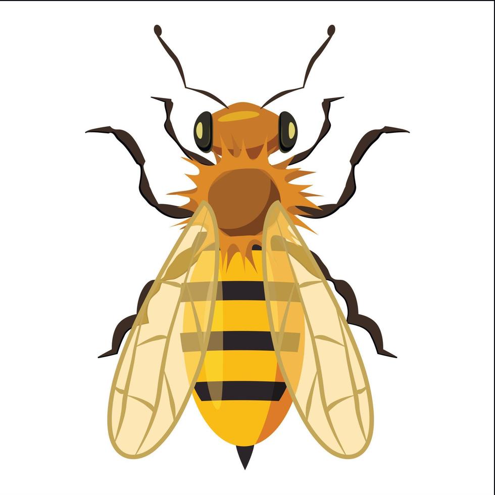 icono de abeja de insectos, estilo de dibujos animados vector