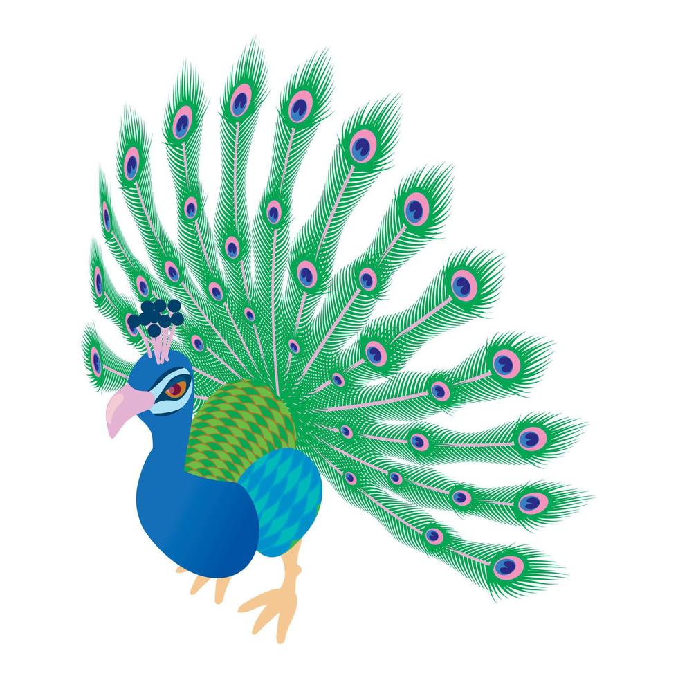 Peacock icon, cartoon style vector