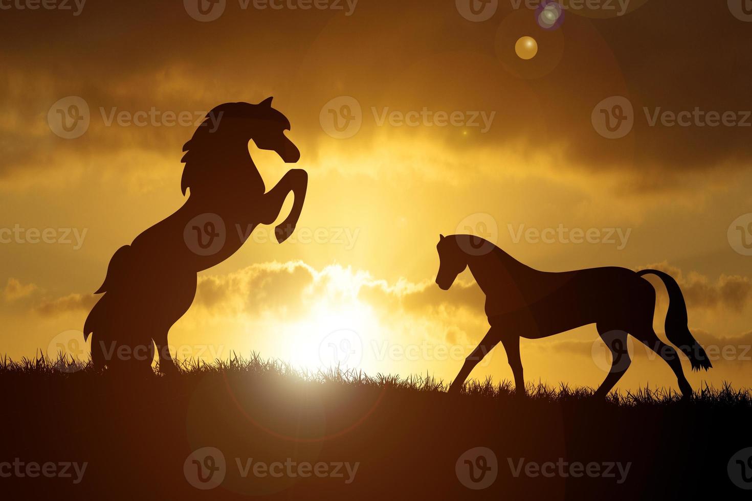 The silhouette of a free horse In the meadow there is a beautiful light. photo