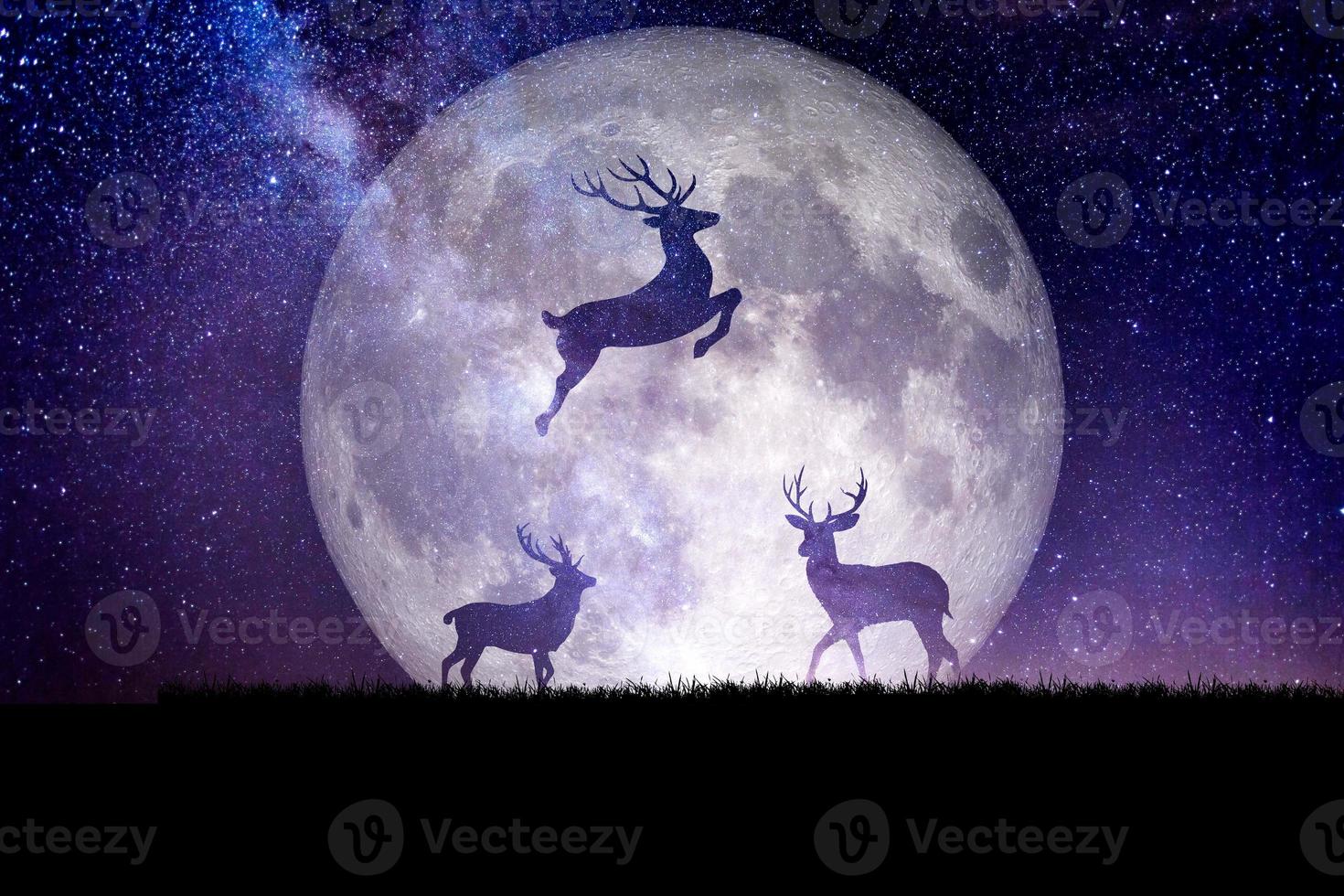 Night deer silhouette against the backdrop of a large moon.  background for christmas photo