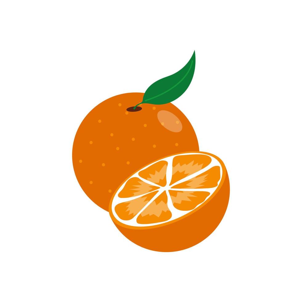 Bright slice and whole of juicy orange. vector