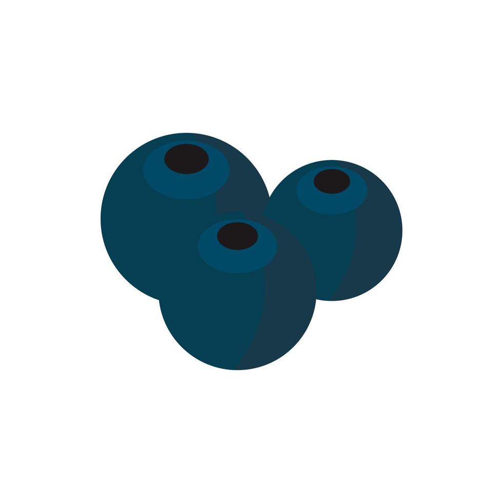 Blueberriesicon in flat style vector