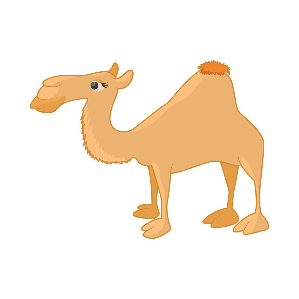 Camel icon in cartoon style vector