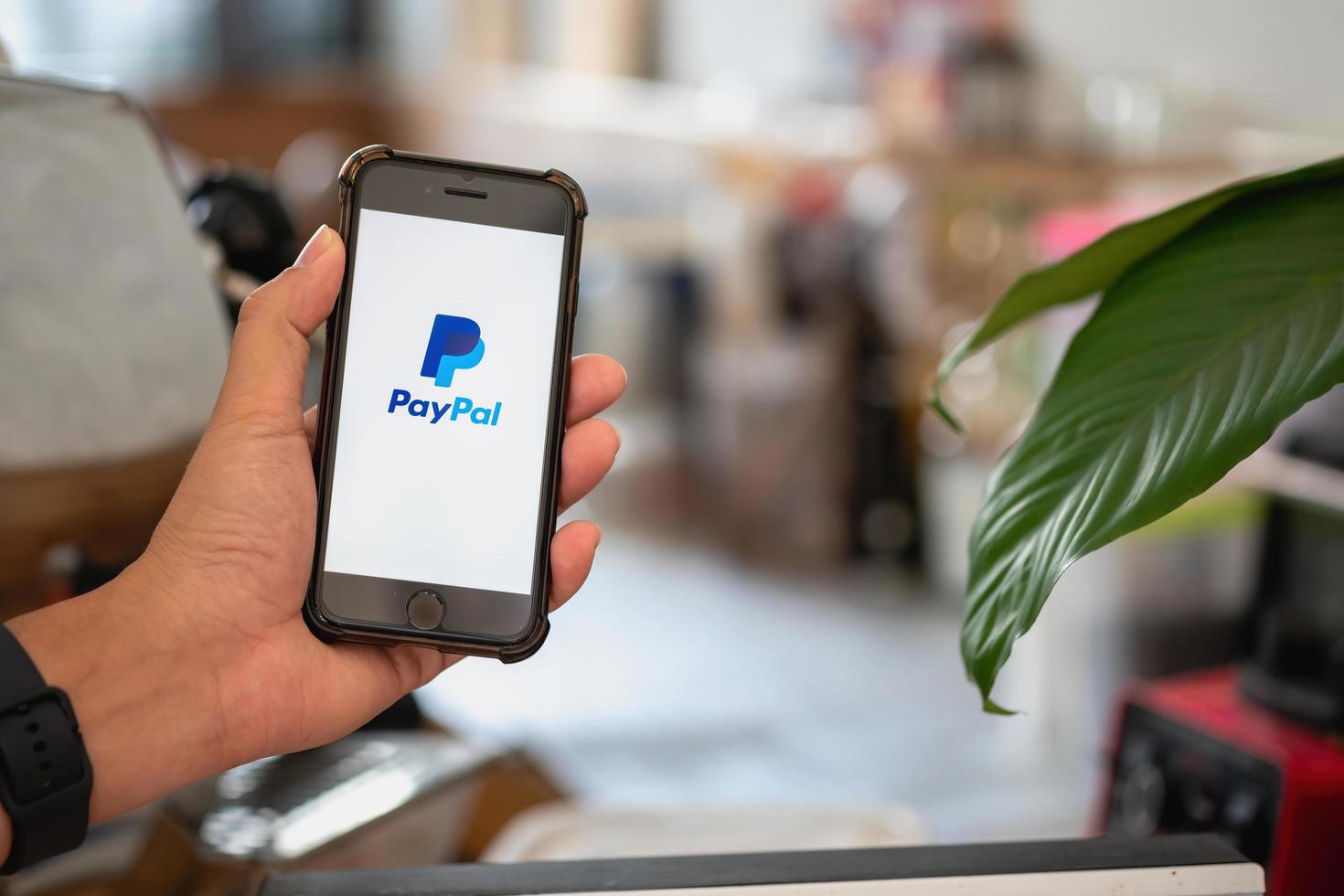 CHIANG MAI, THAILAND - October 15, 2022 - A man holding IPHONE 8  on Paypal logo screen. Paypal is an internet based digital money transfer service. photo