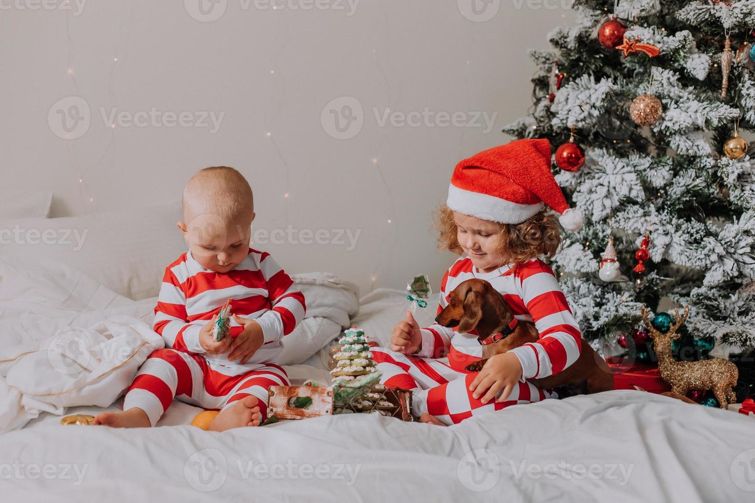 children in red and white pajamas sitting in bed share Christmas sweets with each other and their dog. brother and sister, boy and girl celebrate the new year. space for text. High quality photo