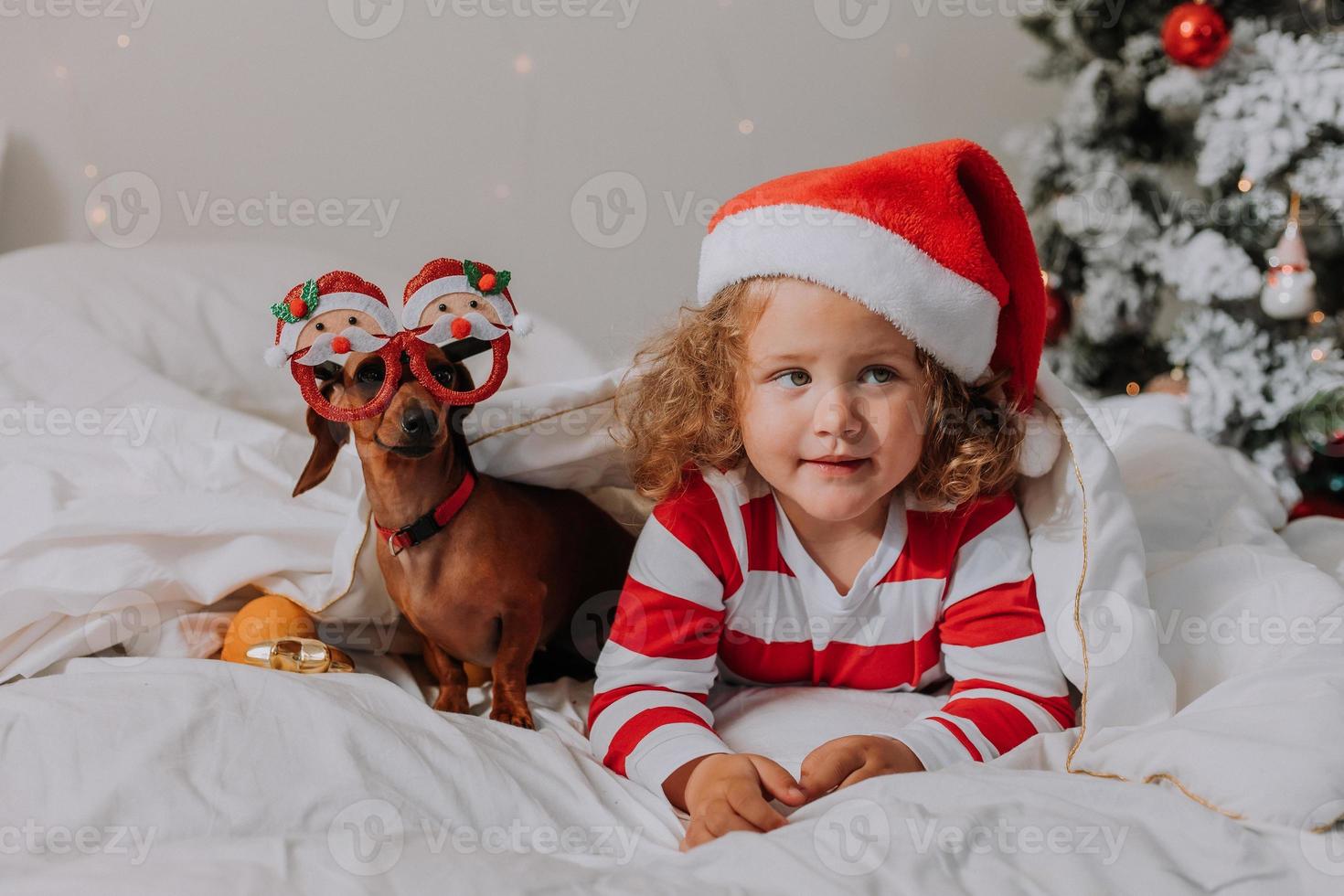 little girl in striped pajamas and a Santa hat and dog in funny glasses with Santa Claus are lying in bed on a white sheet against the background of Christmas tree. space for text. High quality photo