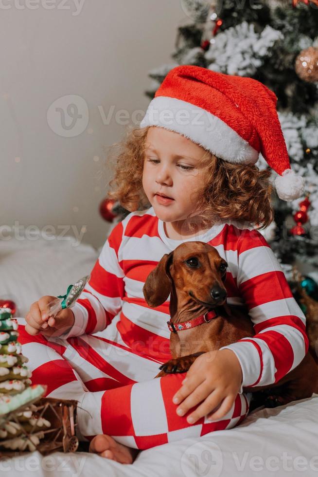 dog and little girl in red and white pajamas eats a tasty homemade Christmas lollipop sitting in bed. child and a pet. baby and dachshund are having fun and celebrating the new year. lifestyle photo