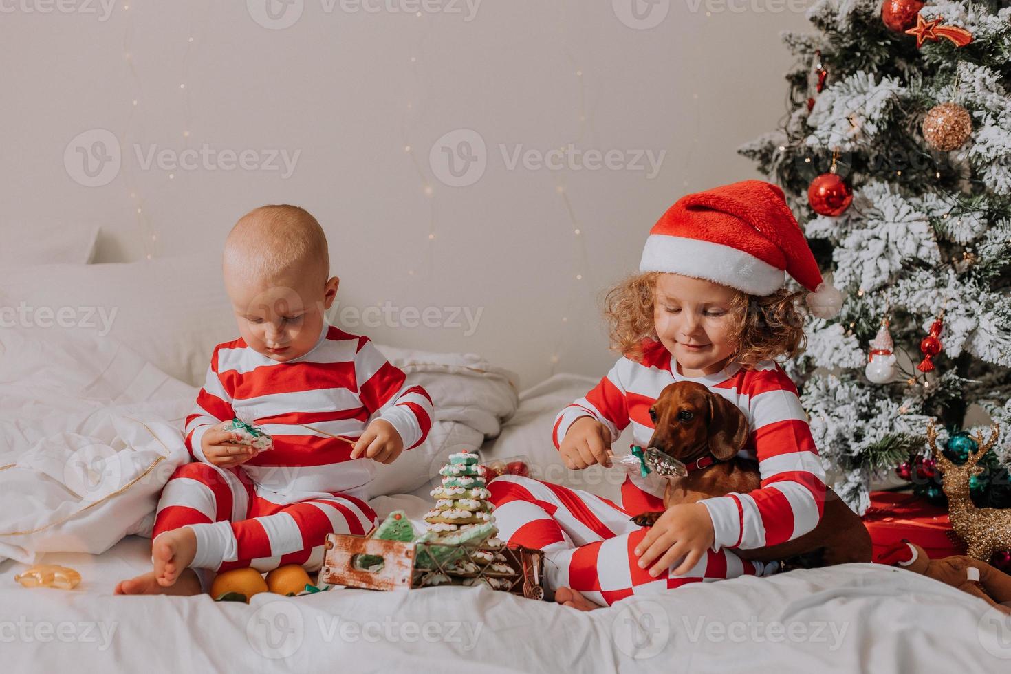 los niños en pijama rojo y blanco sentados en la cama comparten dulces navideños entre ellos y con su perro. hermano y hermana, niño y niña celebran el año nuevo. espacio para texto. foto de alta calidad