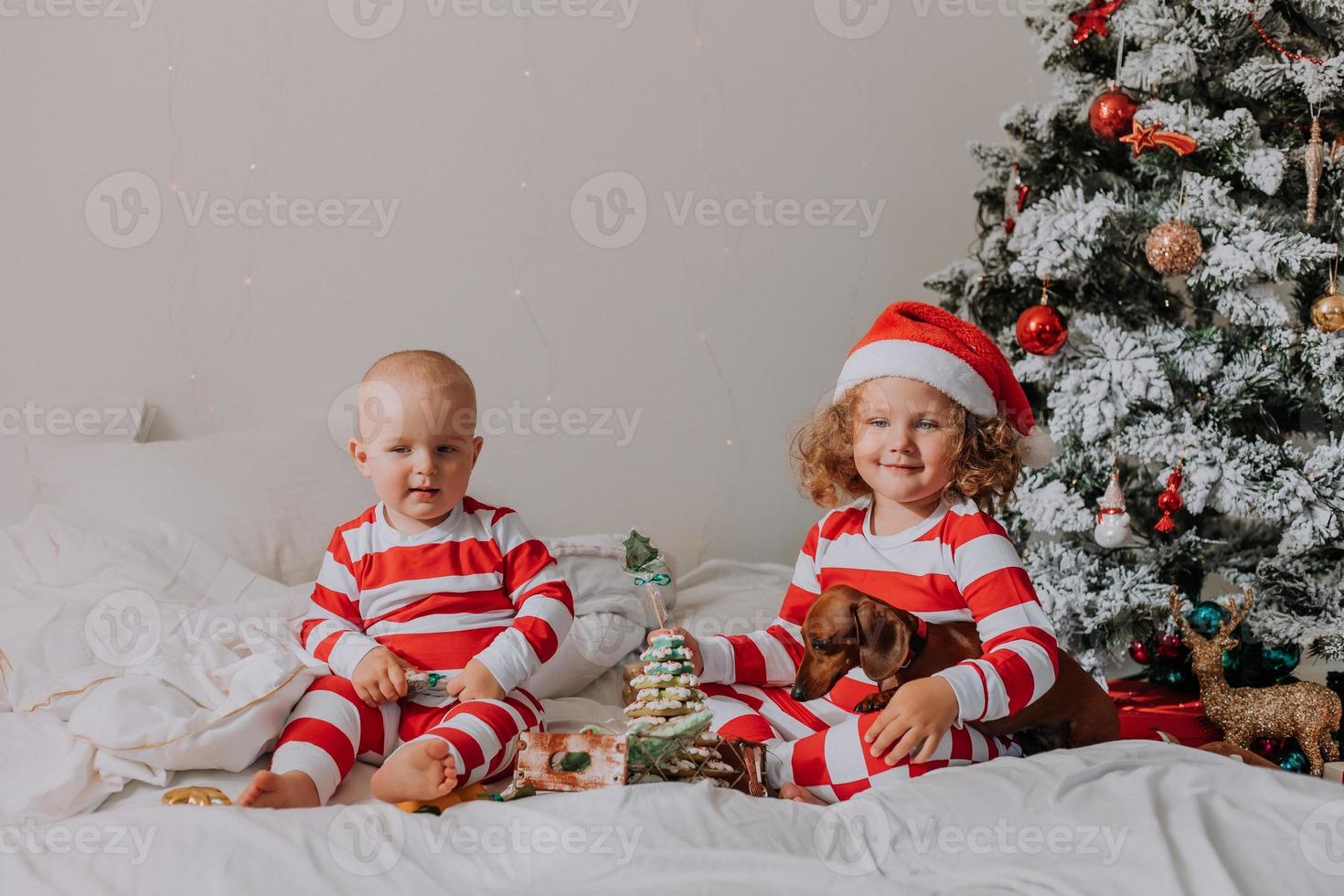 los niños en pijama rojo y blanco sentados en la cama comparten dulces navideños entre ellos y con su perro. hermano y hermana, niño y niña celebran el año nuevo. espacio para texto. foto de alta calidad