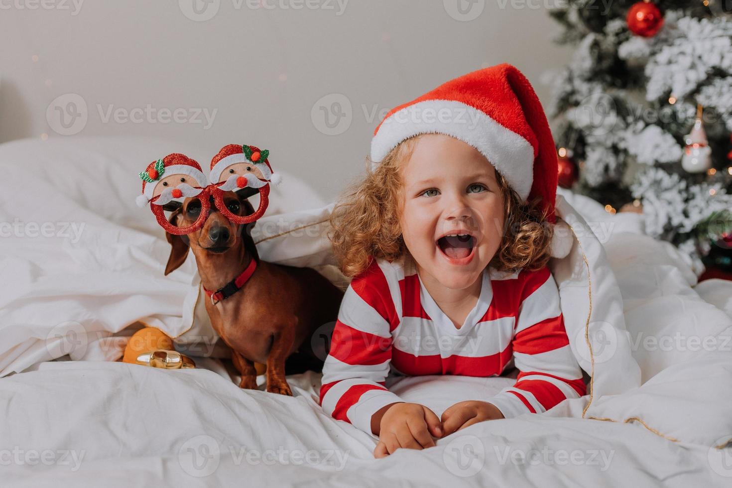 little girl in striped pajamas and a Santa hat and dog in funny glasses with Santa Claus are lying in bed on a white sheet against the background of Christmas tree. space for text. High quality photo