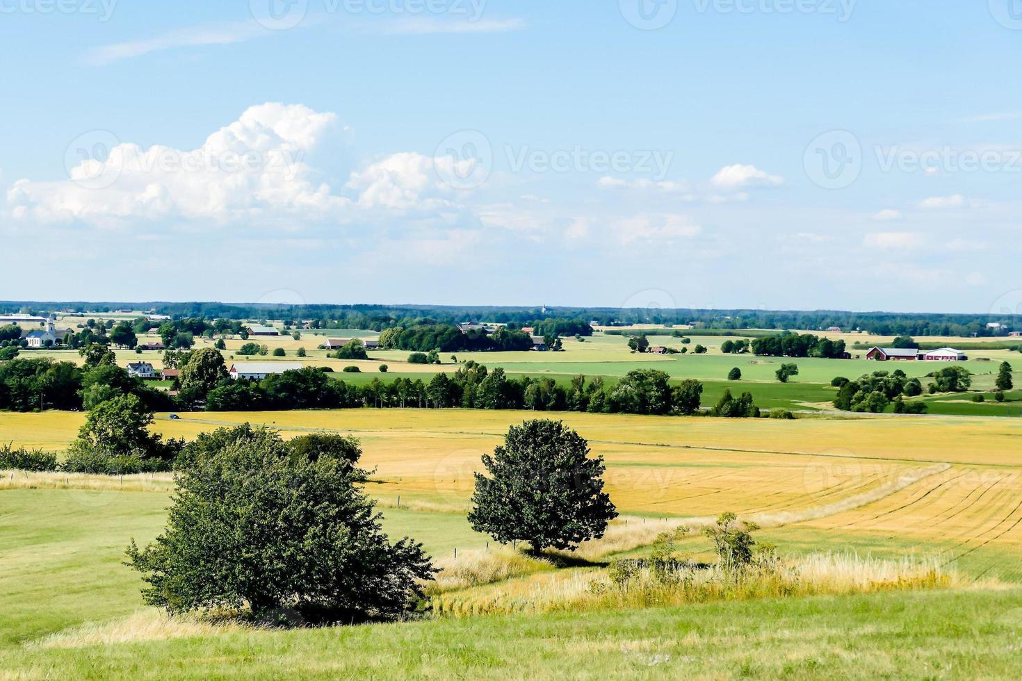 Landscape in Sweden, Europe photo