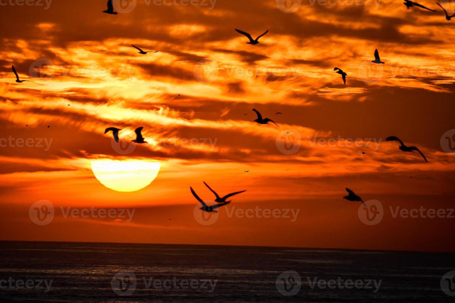 Sunset in Morocco photo