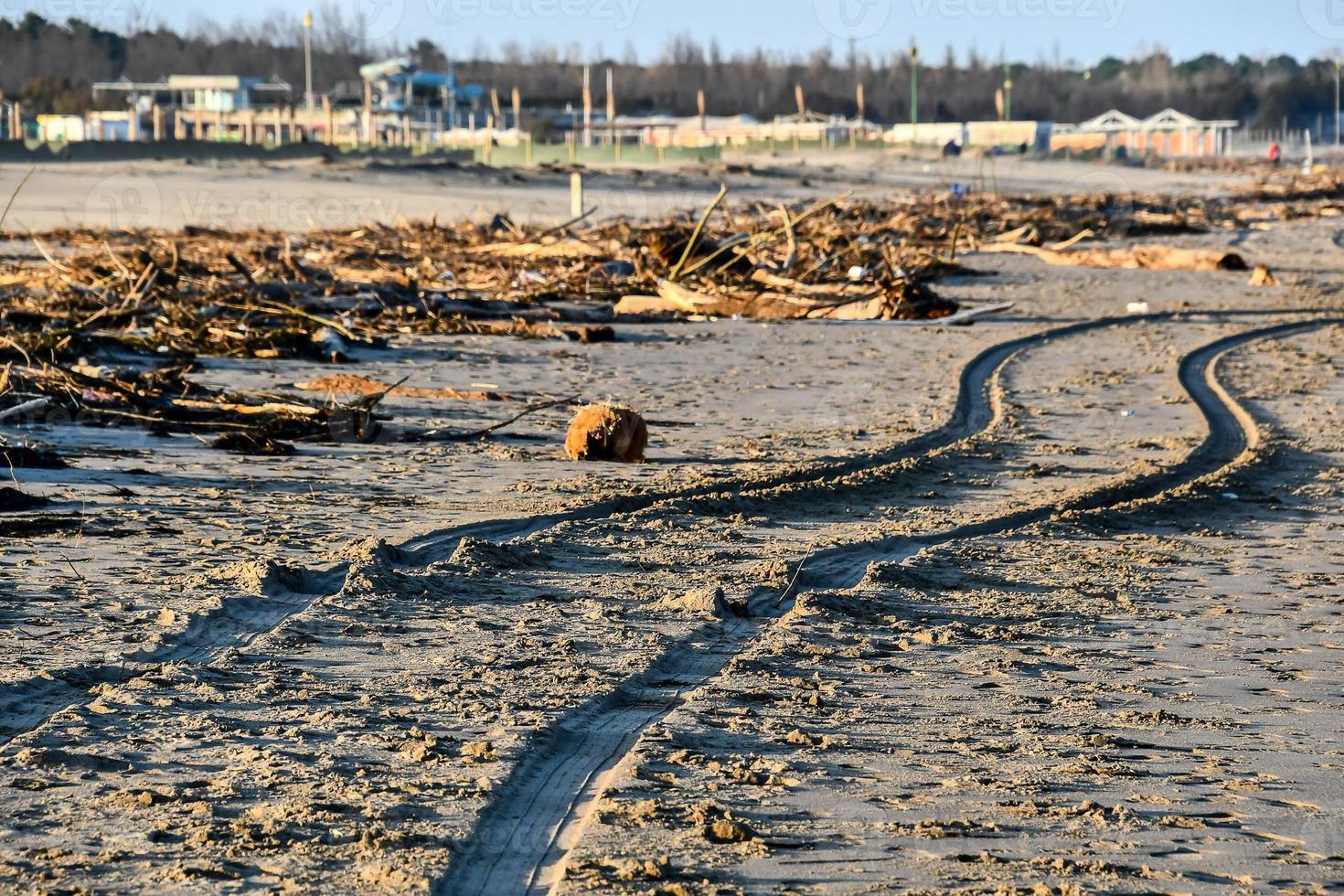 Beach daytime view photo