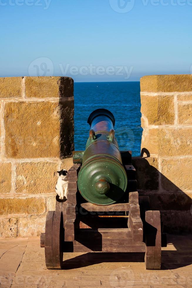 Cannon in fortress photo