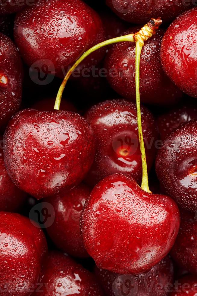 bayas maduras y frescas de una cereza dulce con gotas de agua de cerca. foto