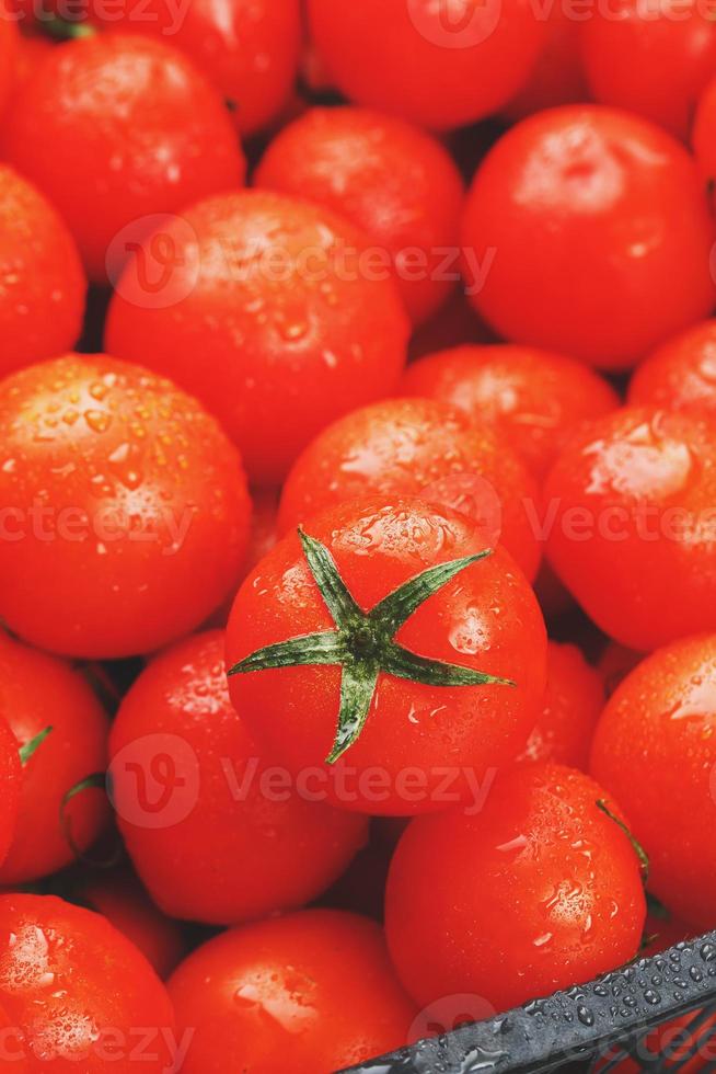 Lots of fresh ripe tomatoes with drops of dew. Close-up background with texture of red hearts with green tails. Fresh cherry tomatoes with green leaves. Background red tomatoes photo