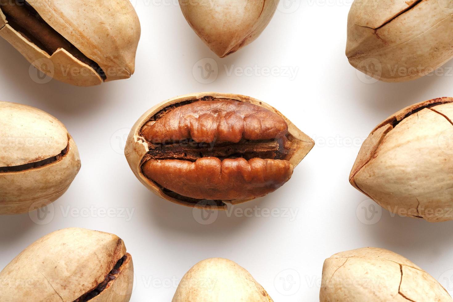 Purified Pecan isolated in the center on white background. photo