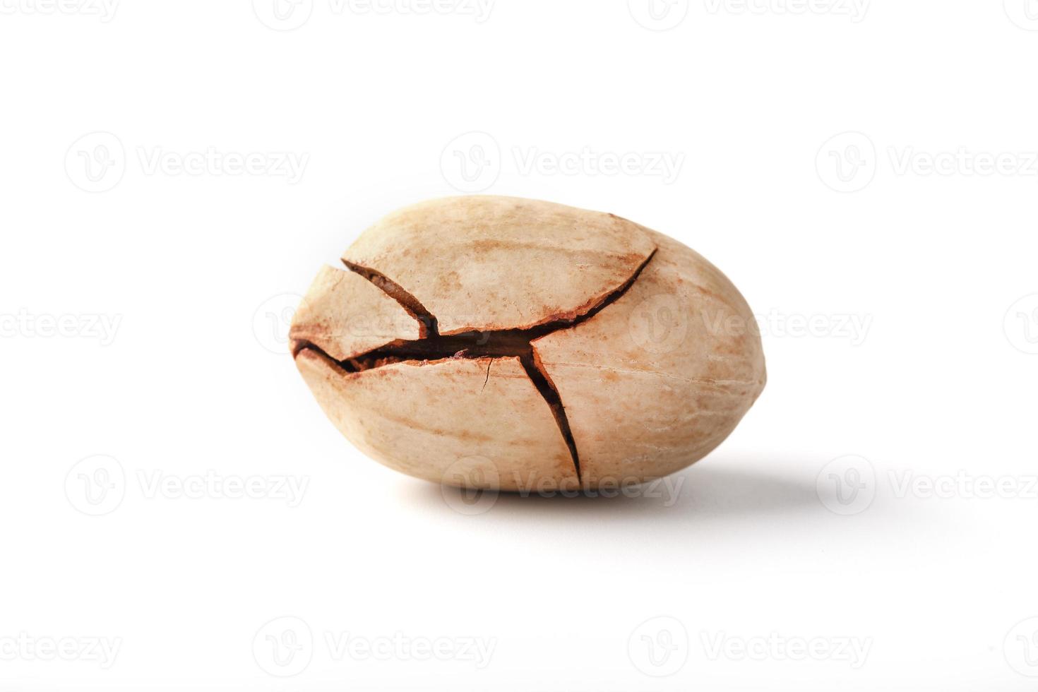 A single pecan shell with cracks isolated on a white background. Close-up, macro. A nut in a shell. photo