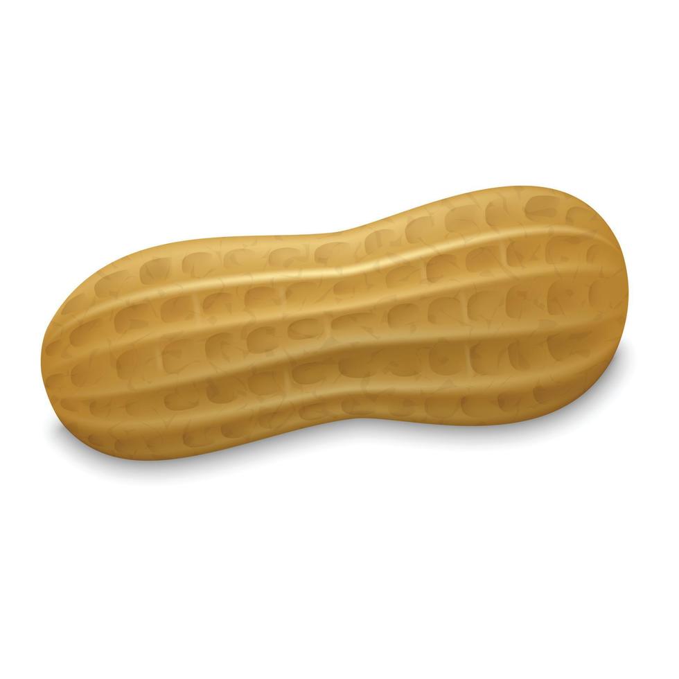 Peanut whole shell icon, realistic style vector