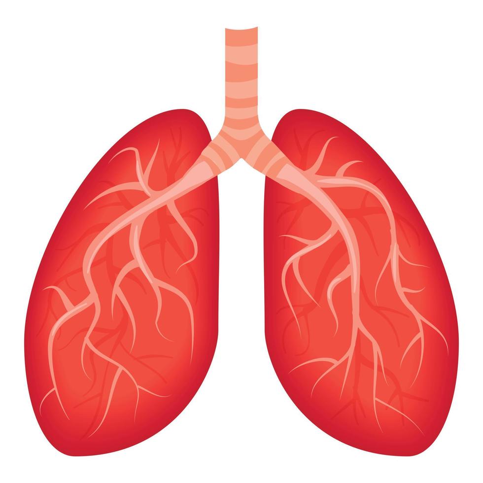 Lungs icon, cartoon style vector