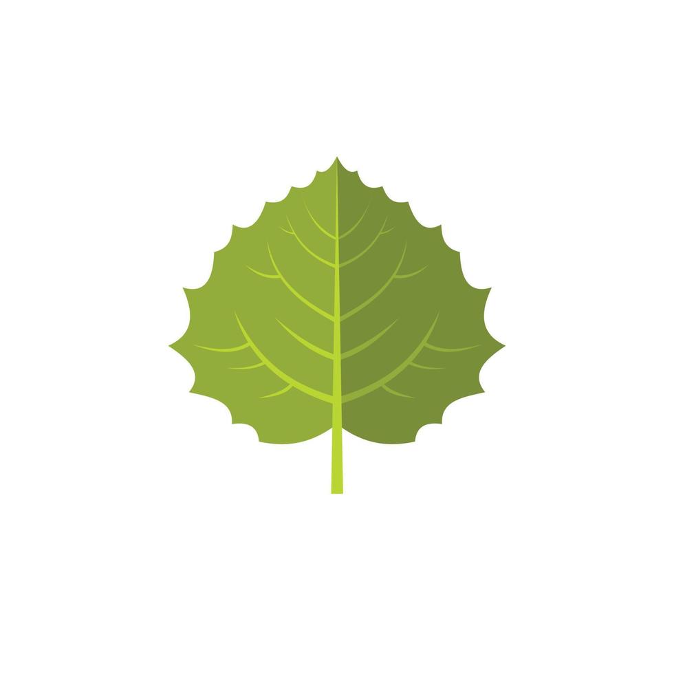 Aspen leaf icon, flat style vector