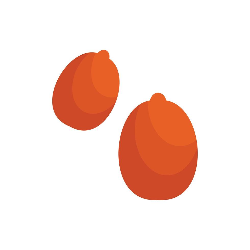 Double peanut icon, flat style vector