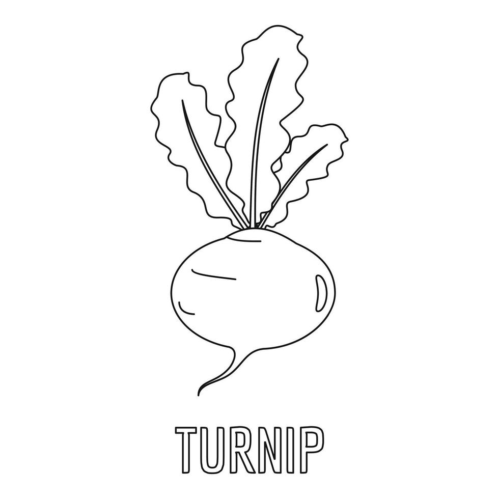 Turnip icon, outline style. vector