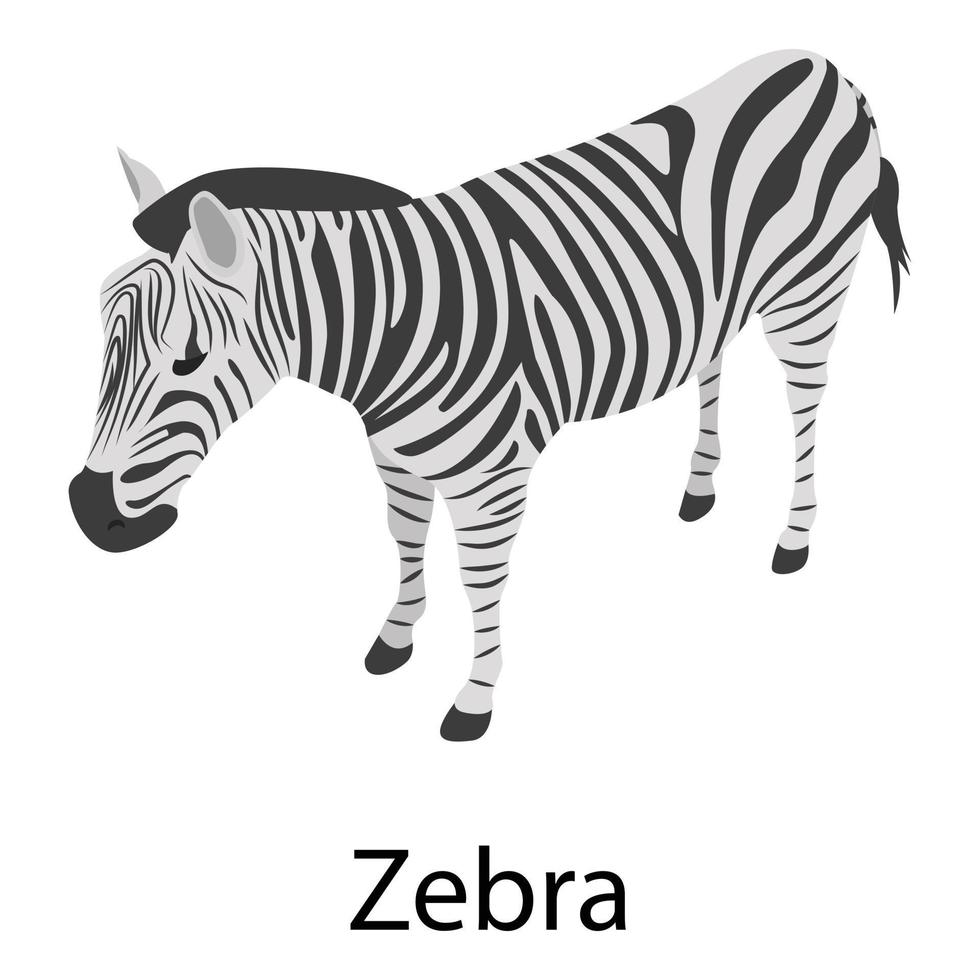 Zebra icon, isometric style vector