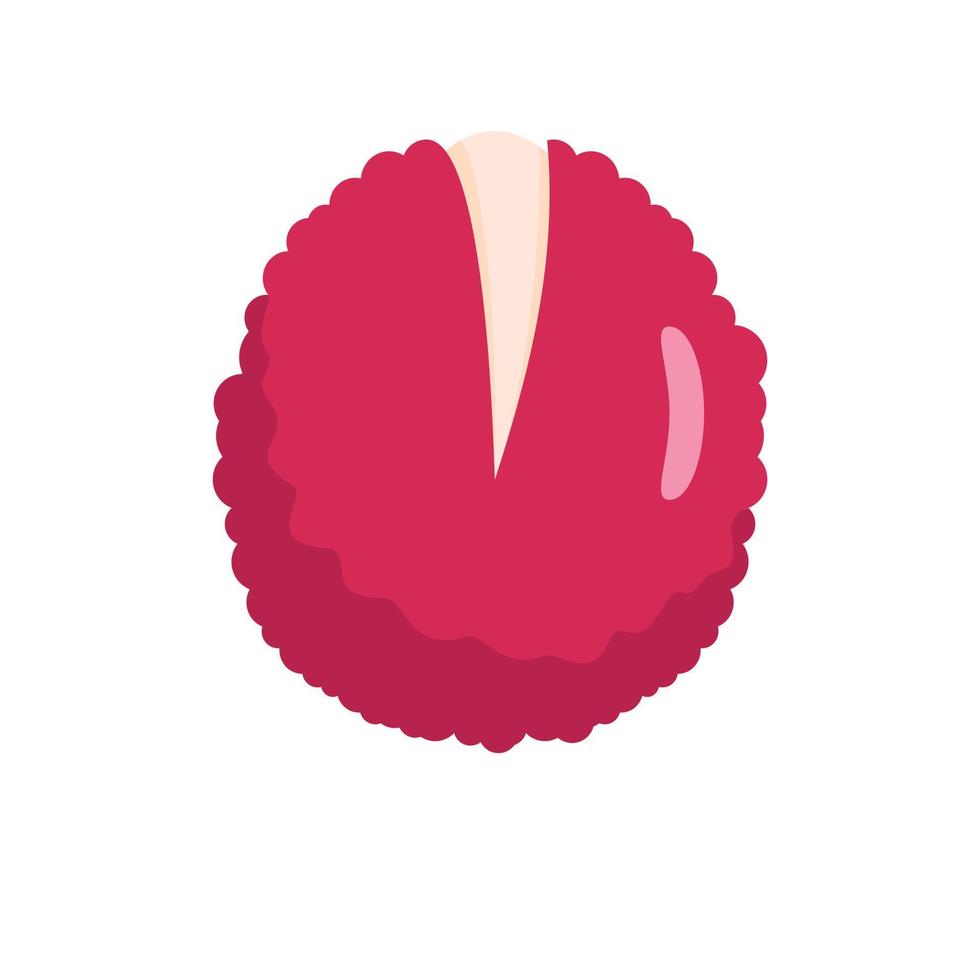 Lychees icon, flat style vector