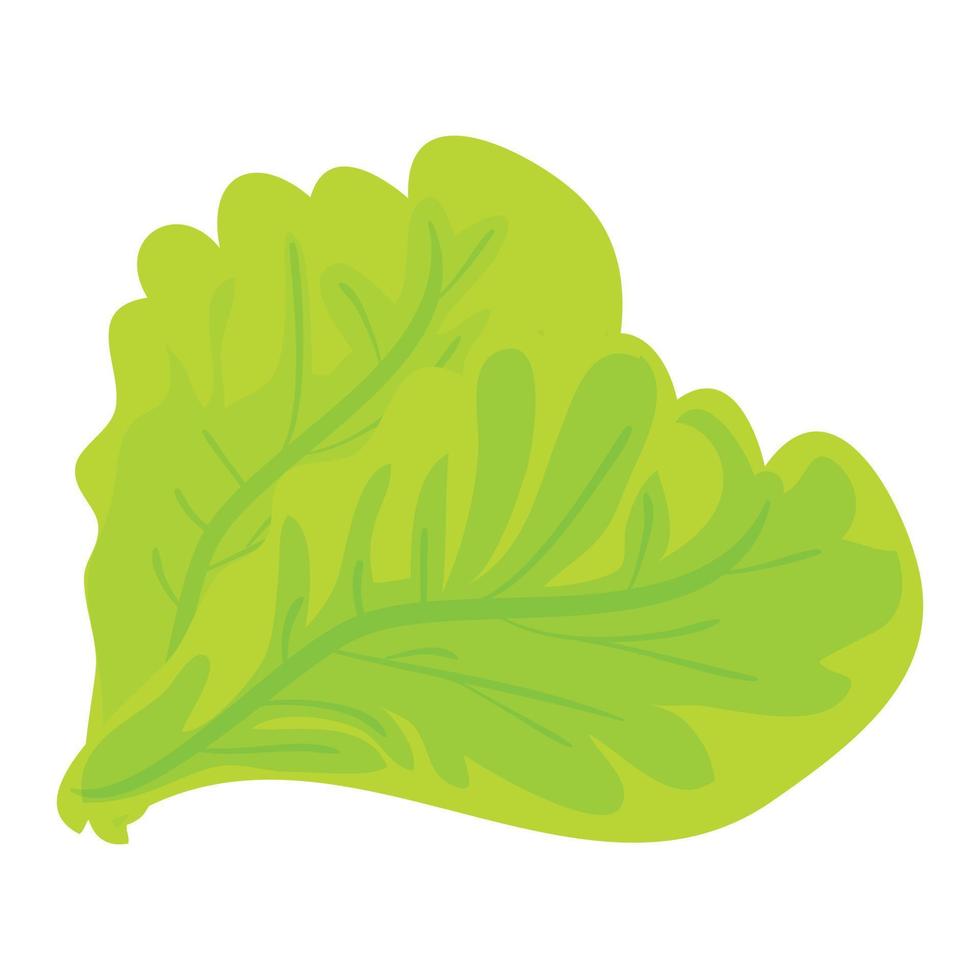 Green lettuce leaf icon, cartoon style vector