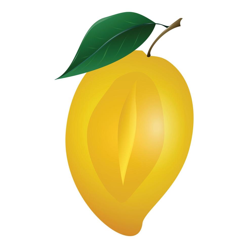 Half mango icon, cartoon style vector