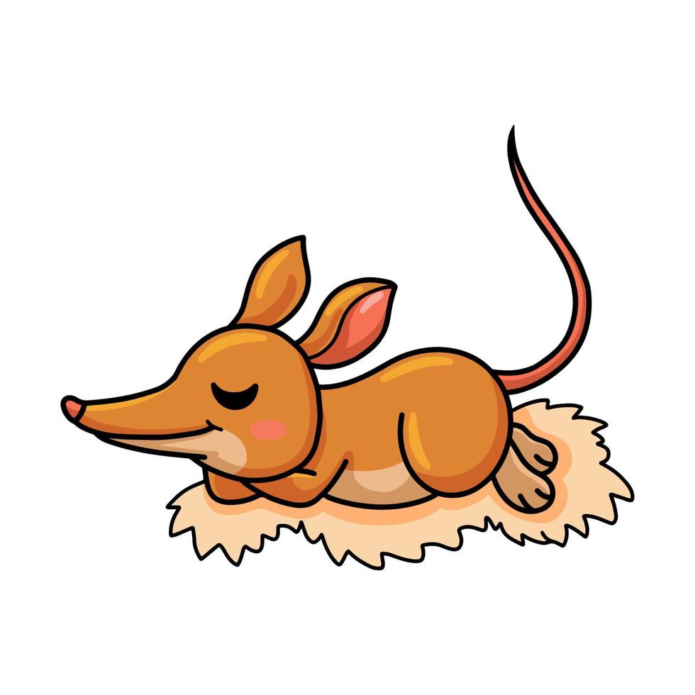 linda caricatura de bandicoot durmiendo vector