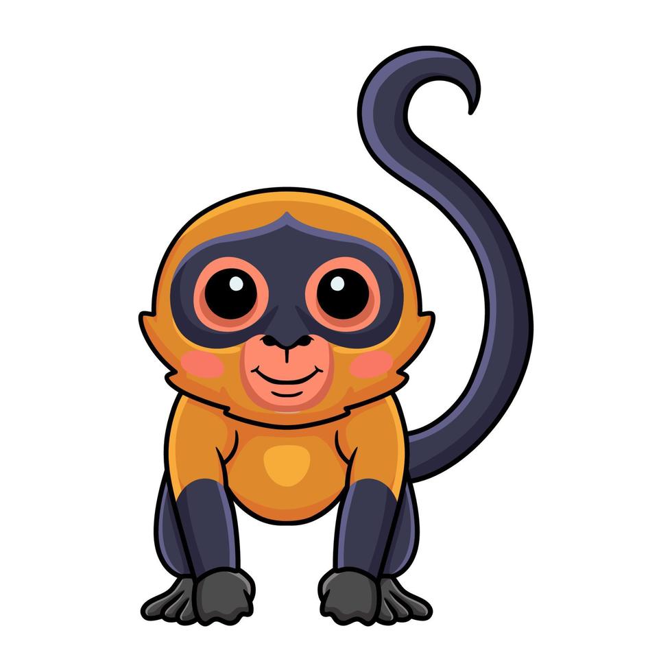 Cute spider monkey cartoon posing vector