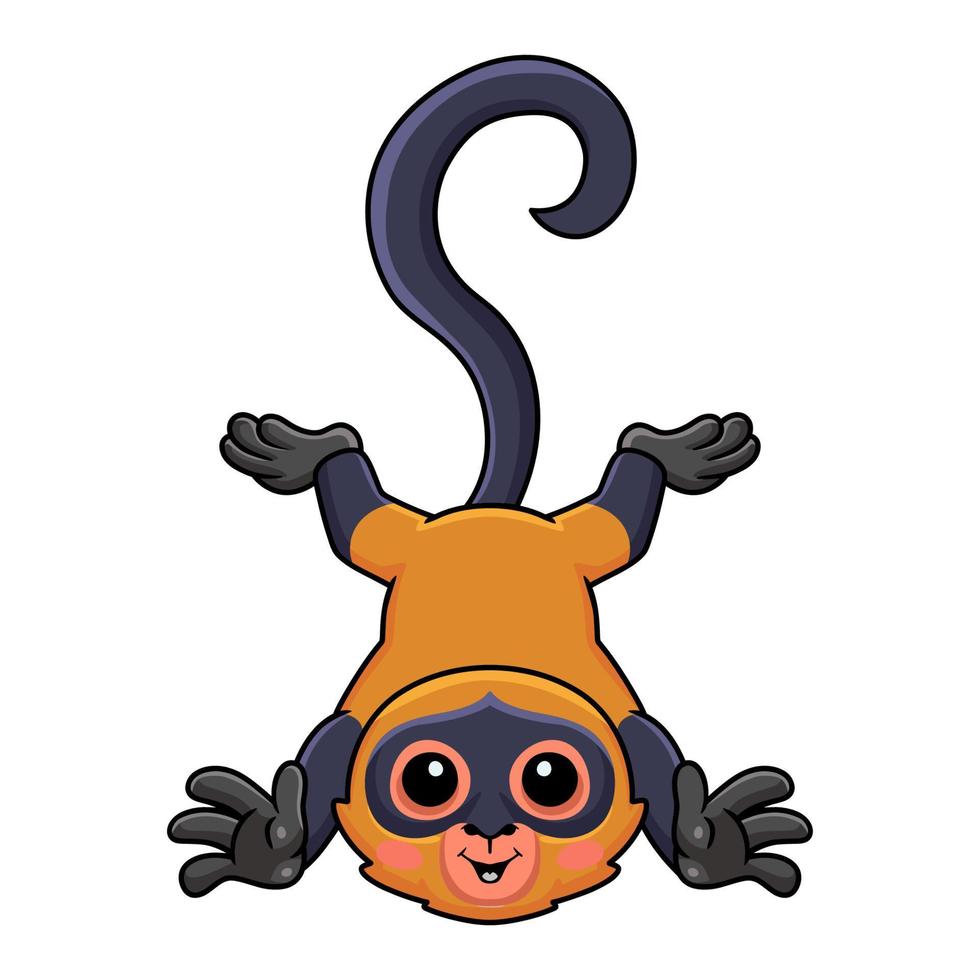 Cute spider monkey cartoon posing vector