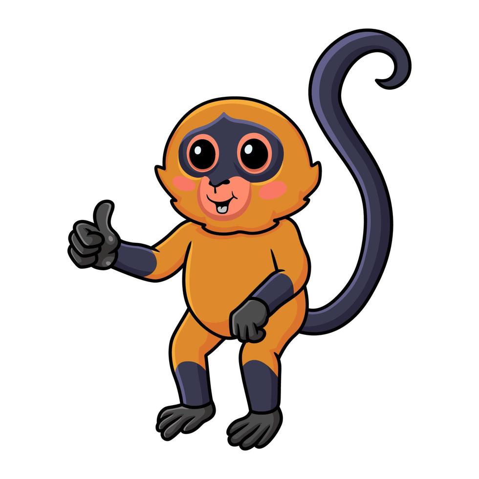 Cute spider monkey cartoon giving thumb up vector