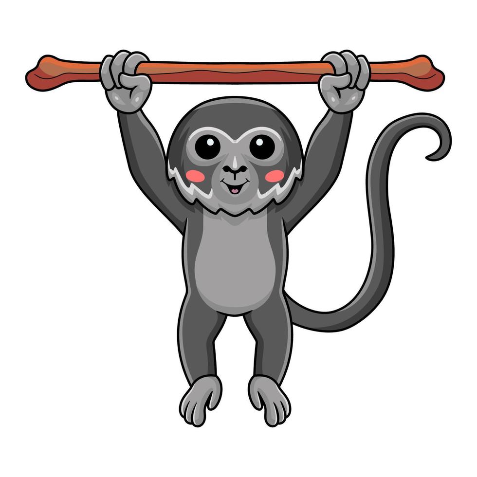 Cute black spider monkey cartoon hanging on tree vector