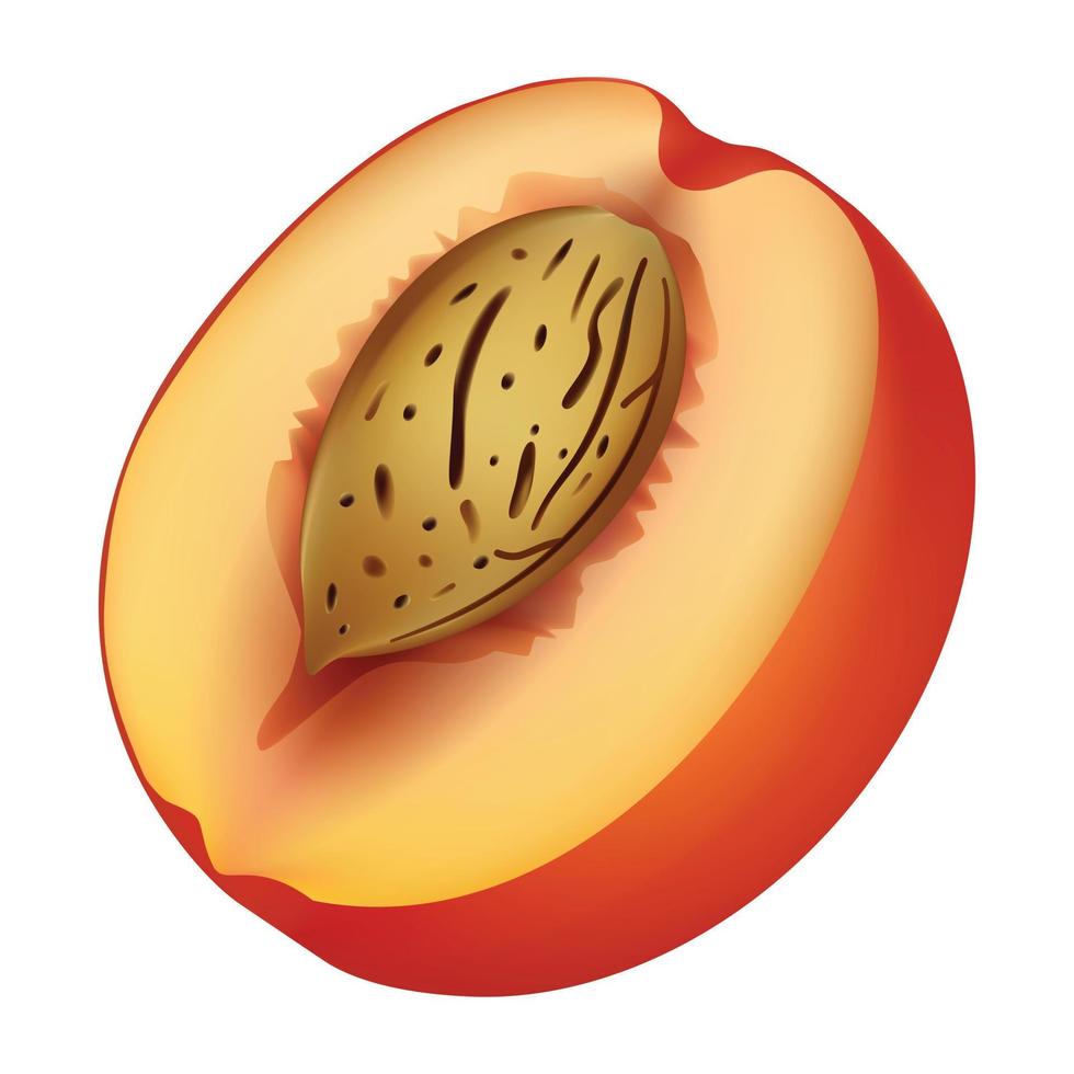 Cutted peach mockup, realistic style vector