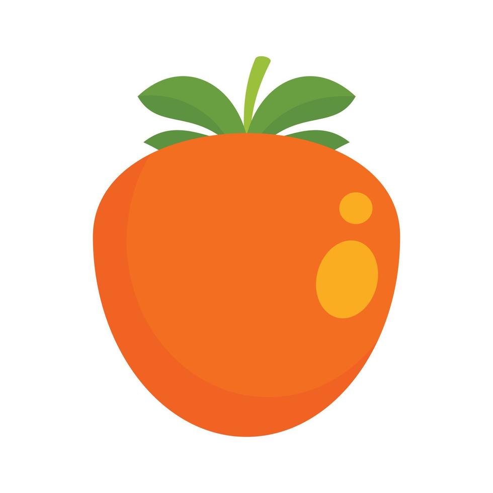 Persimmon icon, flat style vector