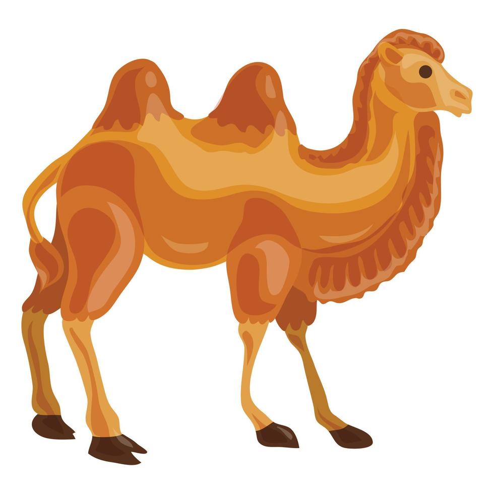 Camel icon, cartoon style vector