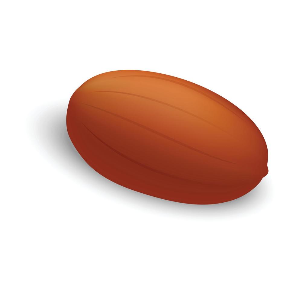 Raw peanut icon, realistic style vector