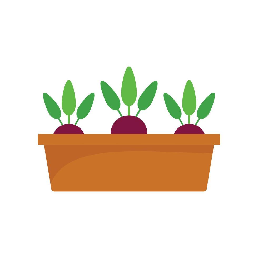 Beetroot in ground pot icon, flat style vector