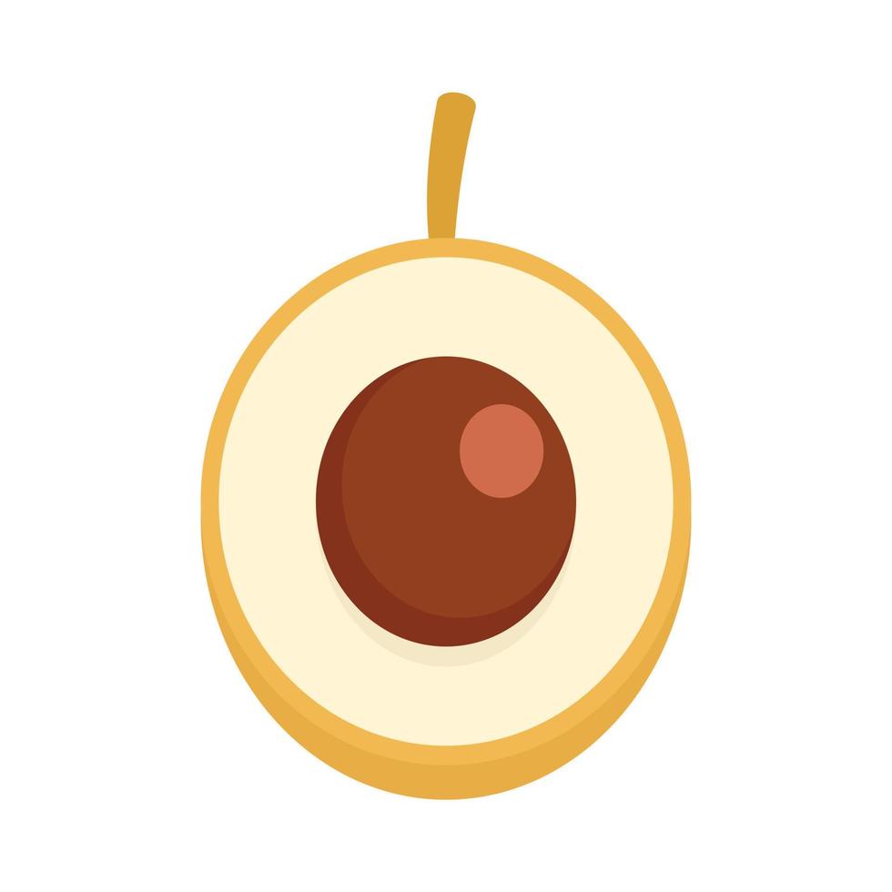 icono de longan, estilo plano vector