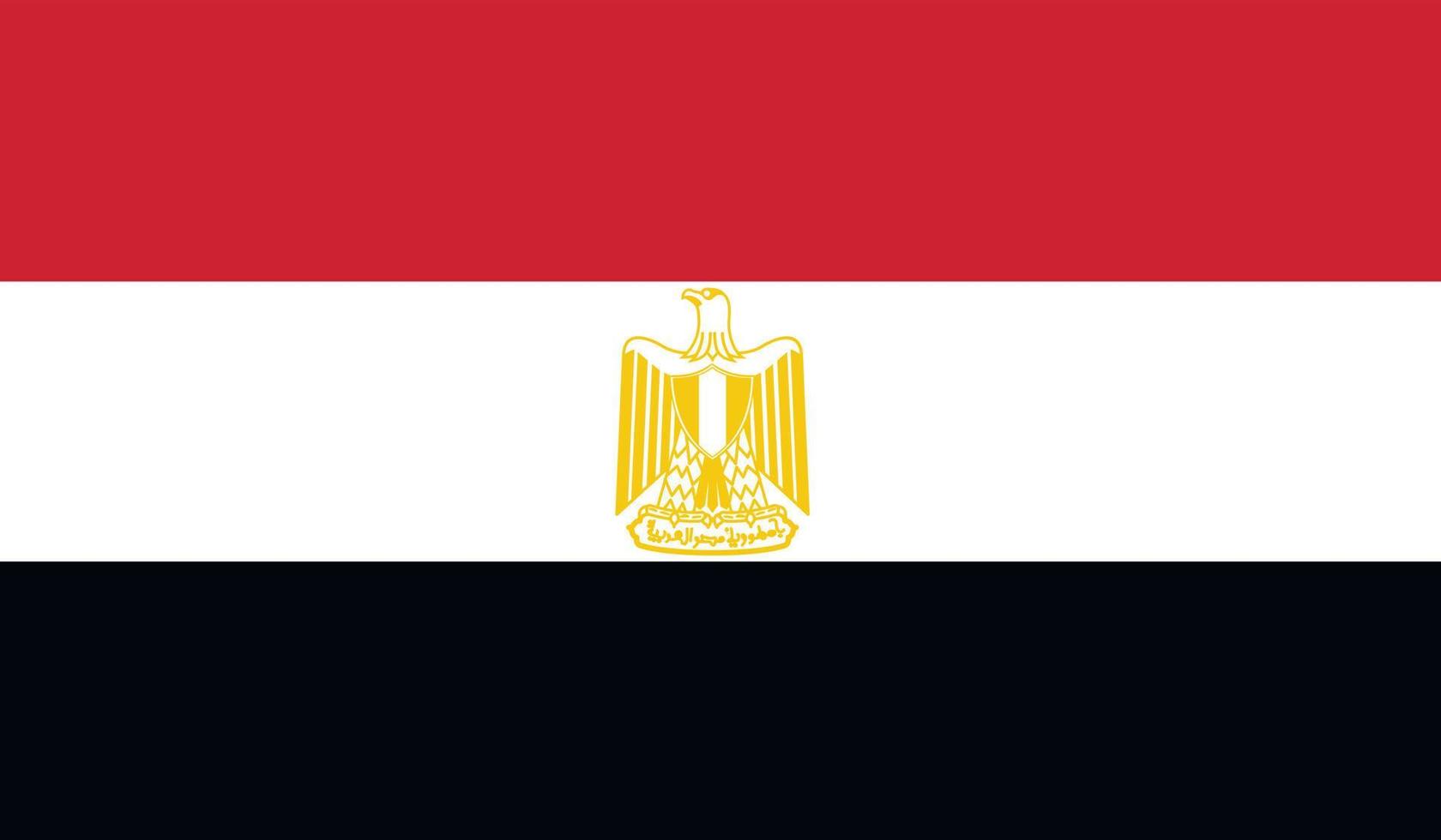 Egypt flag image vector