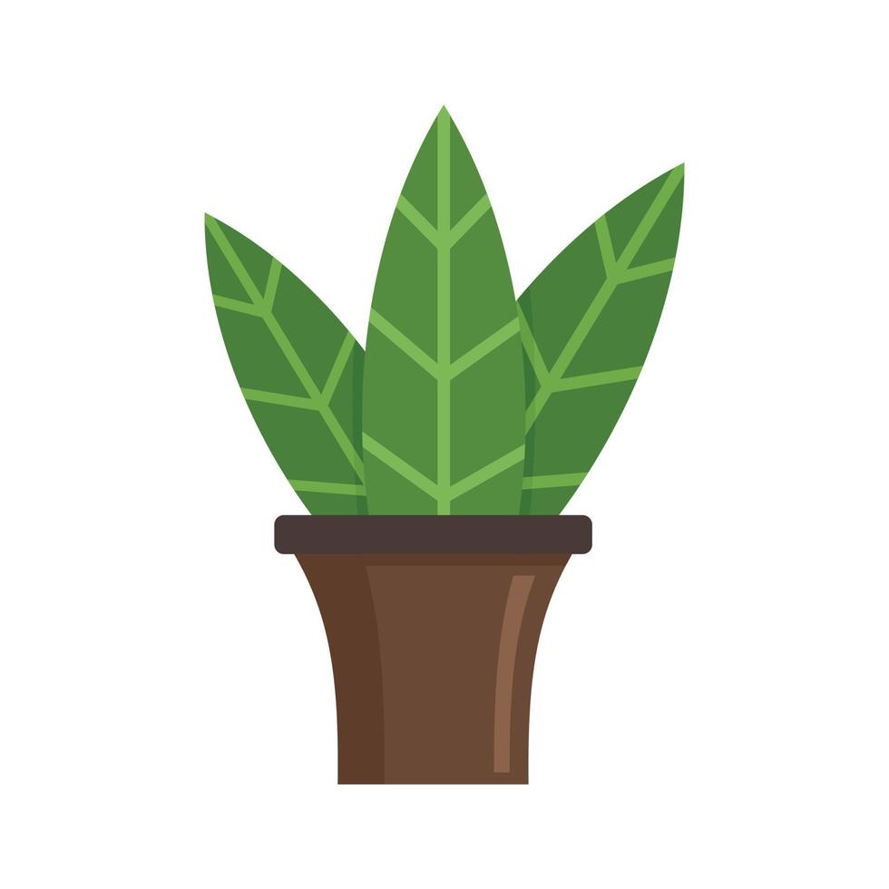 Big leaf houseplant icon, flat style vector