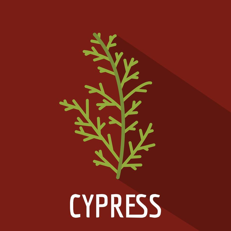 icono de hoja de ciprés, estilo plano vector